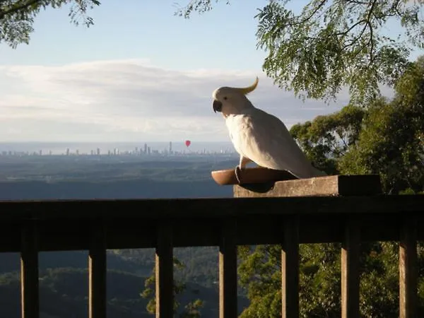 Tamborine Mountain Bed And Breakfast